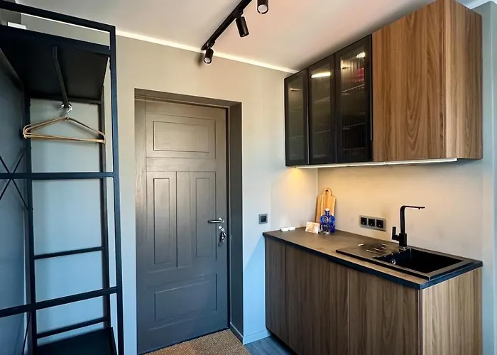 B14 Miera - Designer Near Arena 公寓 *